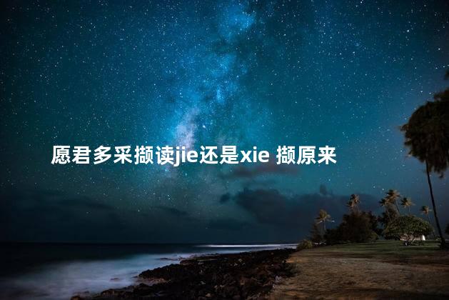 愿君多采撷读jie还是xie 撷原来读jie对吗